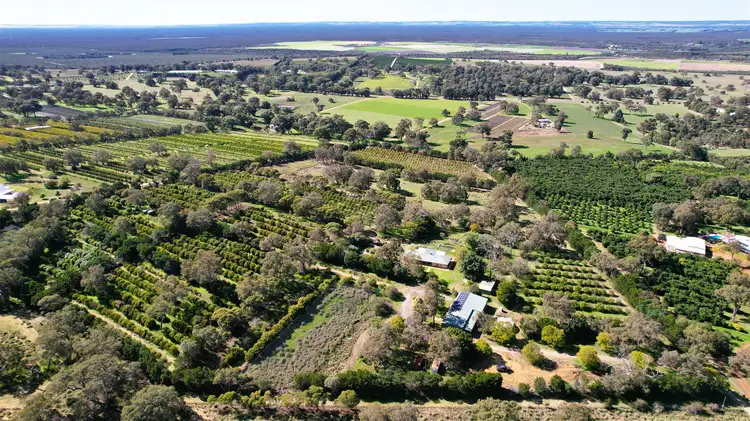 Main view of Homely rural property listing, 1358 Cowalla Road, Wanerie WA 6503