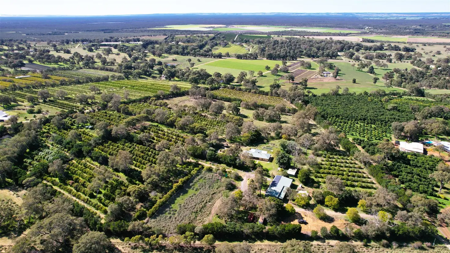 Main view of Homely rural property listing, 1358 Cowalla Road, Wanerie WA 6503