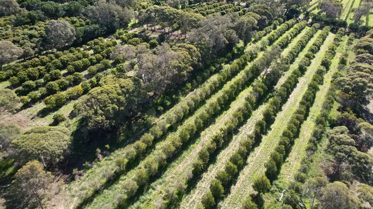 Sixth view of Homely rural property listing, 1358 Cowalla Road, Wanerie WA 6503