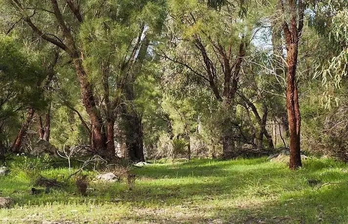 Second view of Homely land listing, 134 Ramahan Rise, Lake Clifton WA 6215