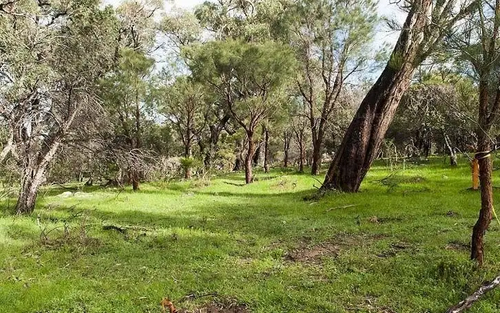 Third view of Homely land listing, 134 Ramahan Rise, Lake Clifton WA 6215