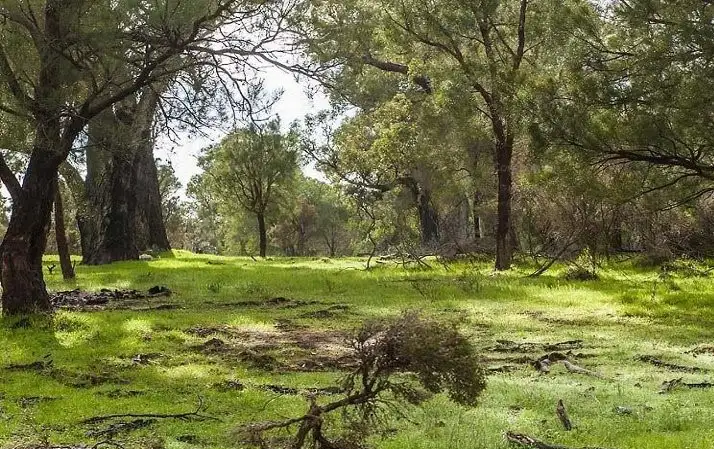 Fourth view of Homely land listing, 134 Ramahan Rise, Lake Clifton WA 6215