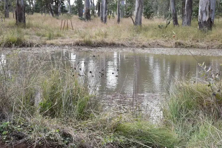 Second view of Homely rural property listing, 0 Tummaville Road, Leyburn QLD 4365