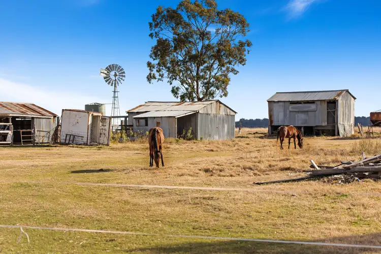 Fourth view of Homely rural property listing, 74 Palmer Road, East Greenmount QLD 4359