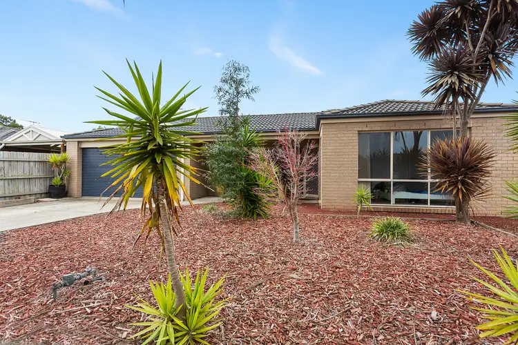Main view of Homely house listing, 3 Kingfisher Court, Hastings VIC 3915