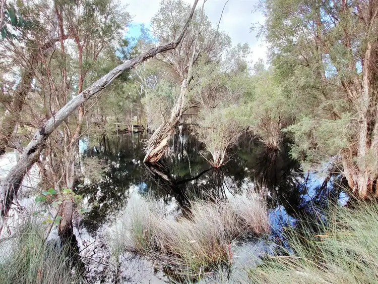 Sixth view of Homely rural property listing, Lot 3200 Wanerie Road, Wanerie WA 6503