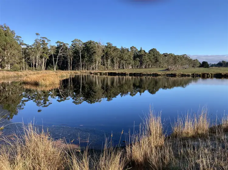 1016 Rhyndaston Road, Stonor TAS 7119