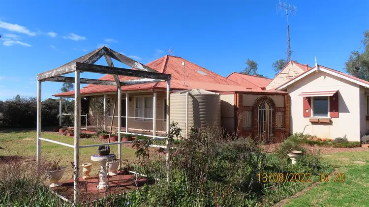 * The Original Four Corners Homestead & Acreage, Nymagee NSW 2831