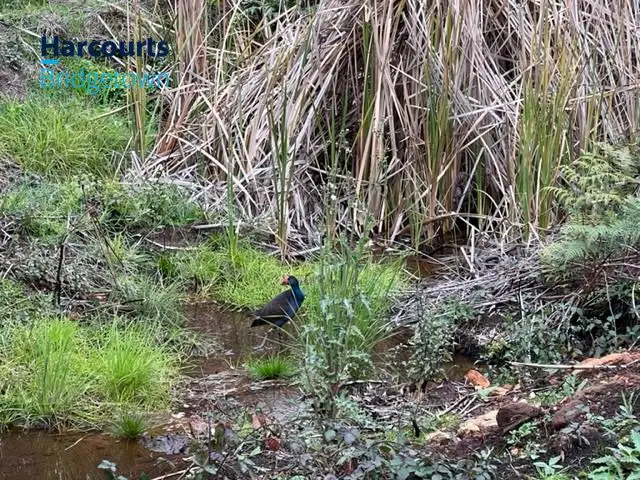 Fifth view of Homely land listing, LOT 22 Kangaroo Gully Road, Kangaroo Gully WA 6255