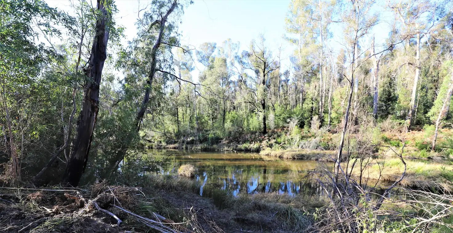 Main view of Homely rural property listing, Lot 34, 35, 36, 79 Monaro Highway, Rockton NSW 2632