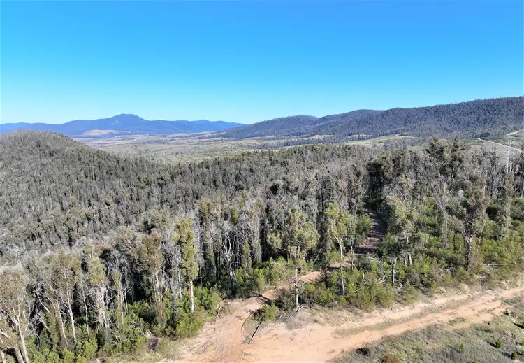 Sixth view of Homely rural property listing, Lot 34, 35, 36, 79 Monaro Highway, Rockton NSW 2632