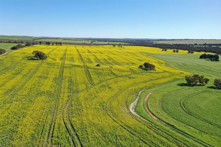 Main view of Homely rural property listing, Lot 54 Koonah Road, Dandaragan WA 6507