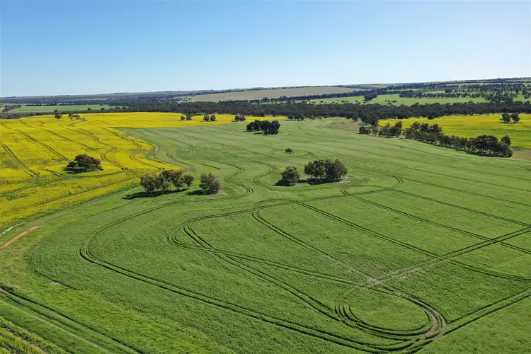 Sixth view of Homely rural property listing, Lot 54 Koonah Road, Dandaragan WA 6507