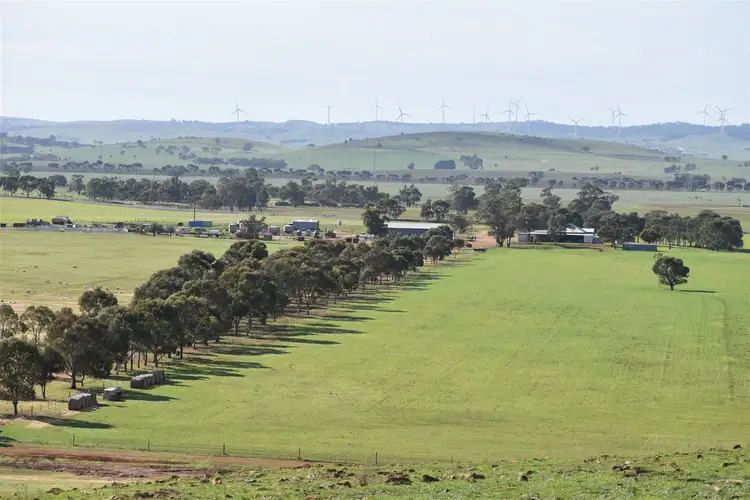 Second view of Homely rural property listing, 173 Appila-Tarcowie Road, Appila SA 5480