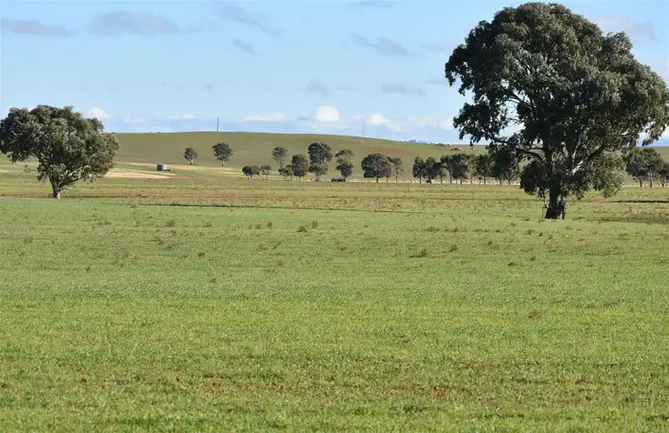 Third view of Homely rural property listing, 173 Appila-Tarcowie Road, Appila SA 5480