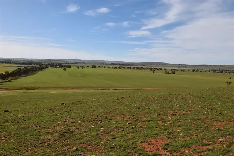 Fifth view of Homely rural property listing, 173 Appila-Tarcowie Road, Appila SA 5480