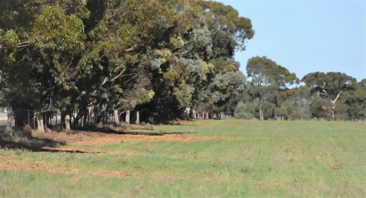 Sixth view of Homely rural property listing, 173 Appila-Tarcowie Road, Appila SA 5480