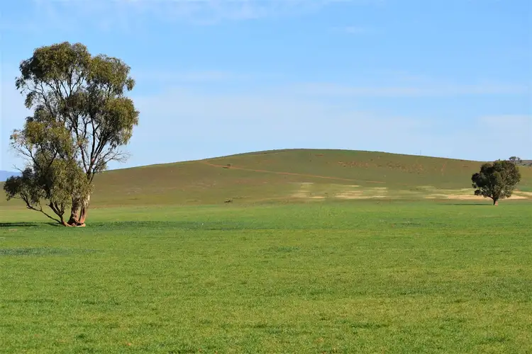 Seventh view of Homely rural property listing, 173 Appila-Tarcowie Road, Appila SA 5480