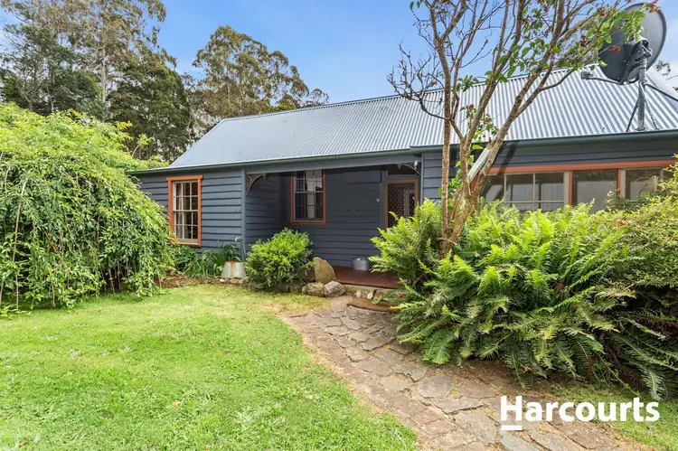 20 Mount Paris Dam Road, Weldborough TAS 7264