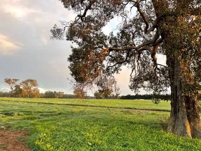 Fourth view of Homely land listing, 53 Zebu Road, Lower Chittering WA 6084