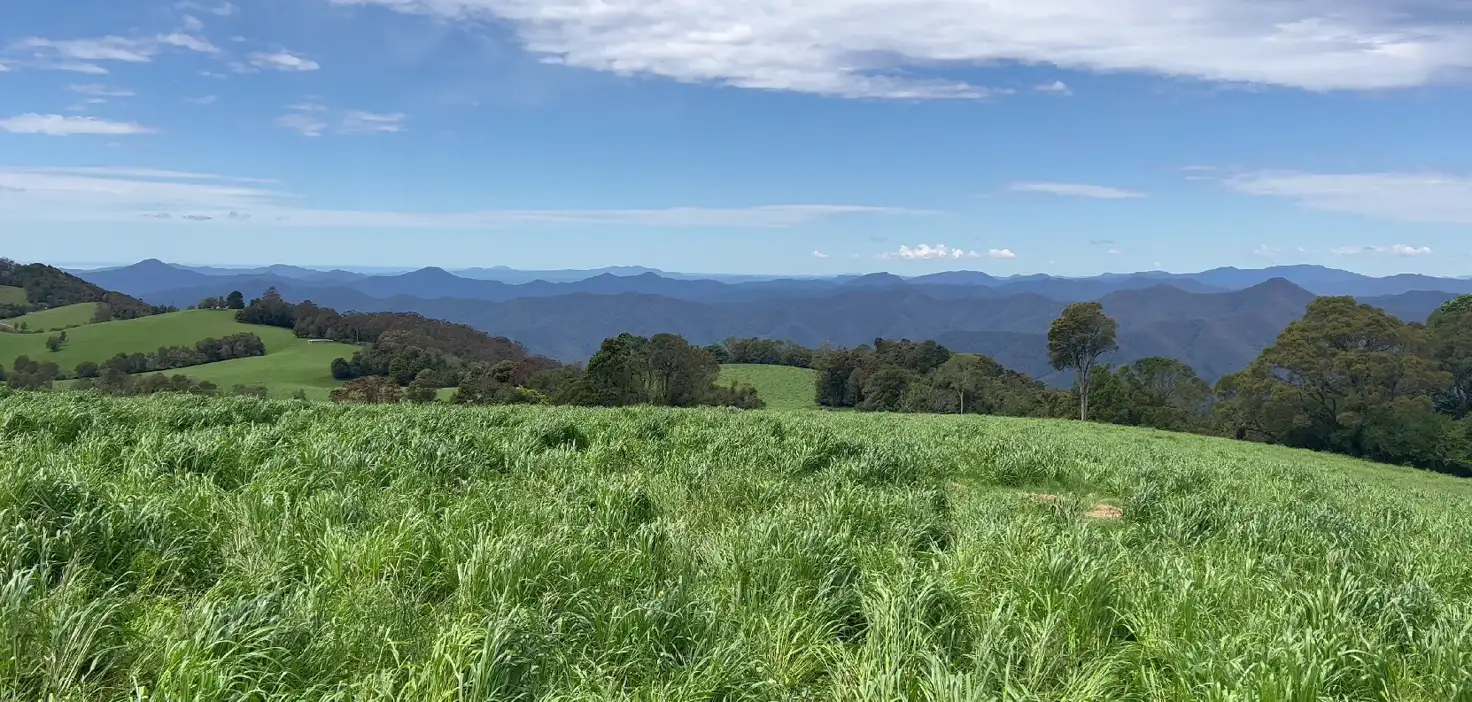 Main view of Homely rural property listing, Rosedale/681 Rocky Creek Road, Dorrigo NSW 2453