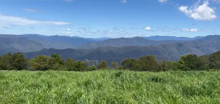 Fourth view of Homely rural property listing, Rosedale/681 Rocky Creek Road, Dorrigo NSW 2453