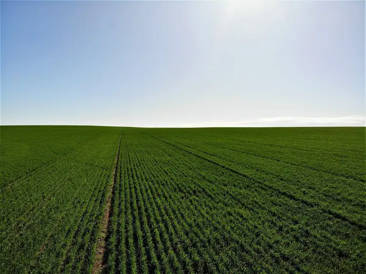 Main view of Homely rural property listing, 128 Hawthorn Lane, Turoar VIC 3546
