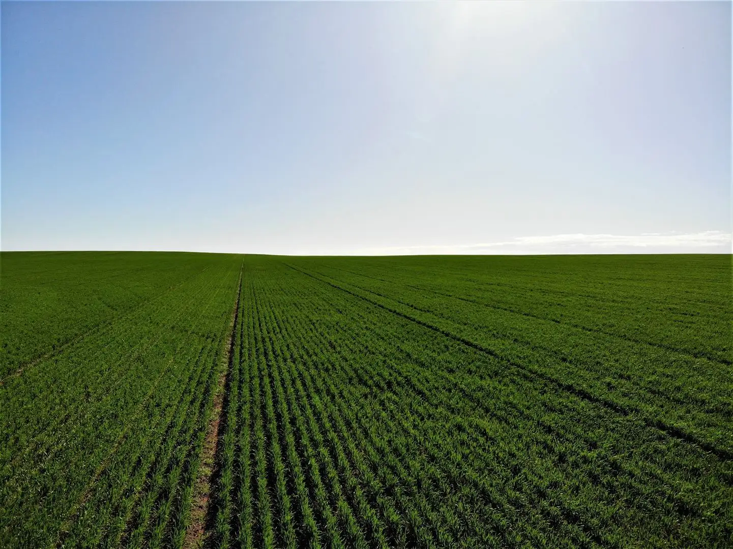 Main view of Homely rural property listing, 128 Hawthorn Lane, Turoar VIC 3546