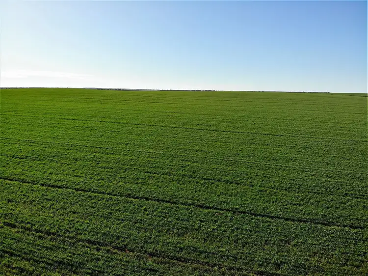 Third view of Homely rural property listing, 128 Hawthorn Lane, Turoar VIC 3546