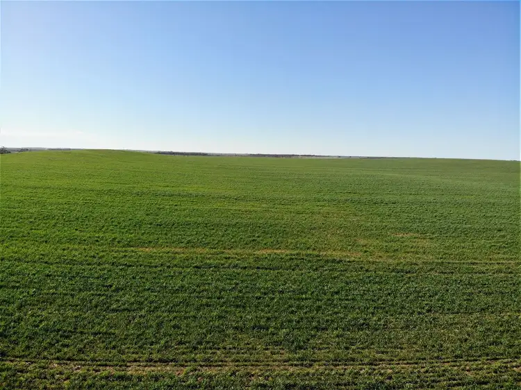 Fifth view of Homely rural property listing, 128 Hawthorn Lane, Turoar VIC 3546