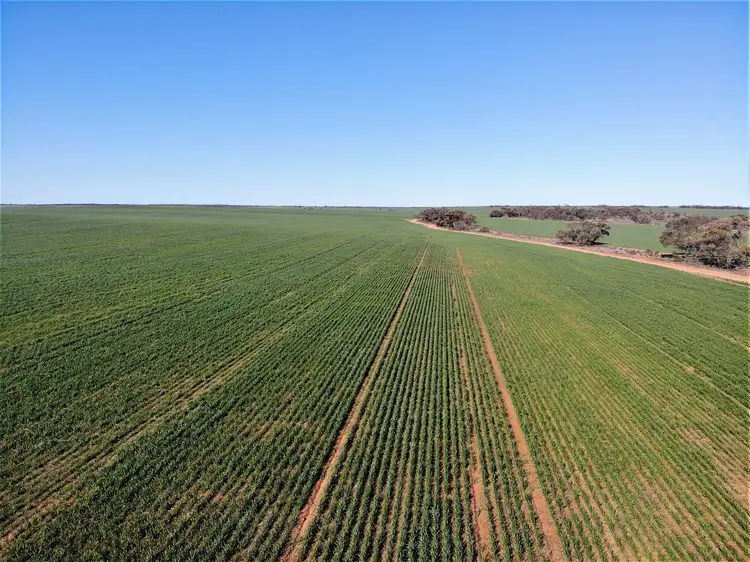 Sixth view of Homely rural property listing, 128 Hawthorn Lane, Turoar VIC 3546