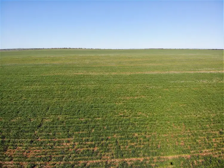 Seventh view of Homely rural property listing, 128 Hawthorn Lane, Turoar VIC 3546