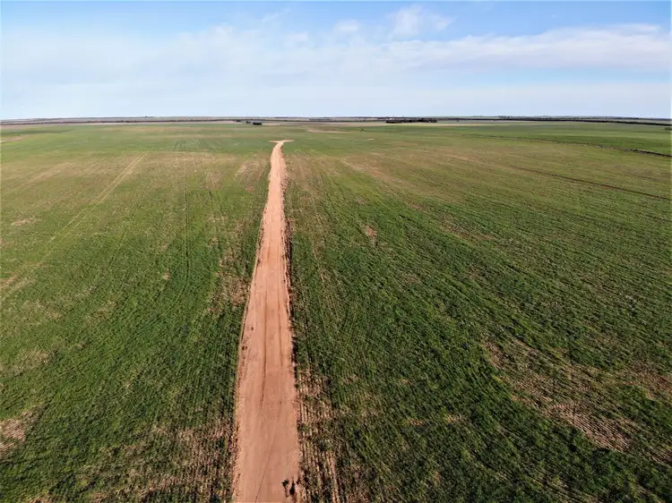 Third view of Homely rural property listing, . Murrayville / Nhill road, Murrayville VIC 3512