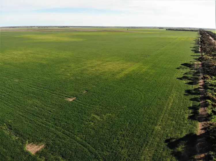 Fifth view of Homely rural property listing, . Murrayville / Nhill road, Murrayville VIC 3512