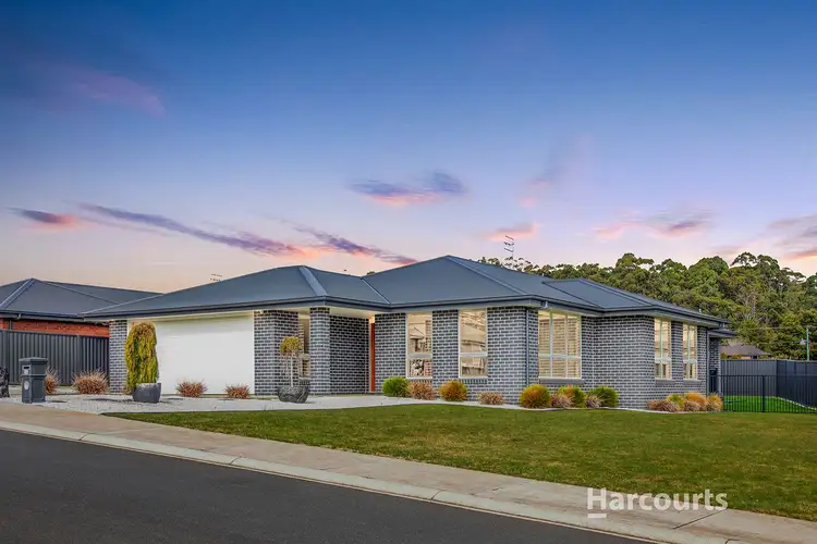 Main view of Homely house listing, 14 Janet Drive, Park Grove TAS 7320