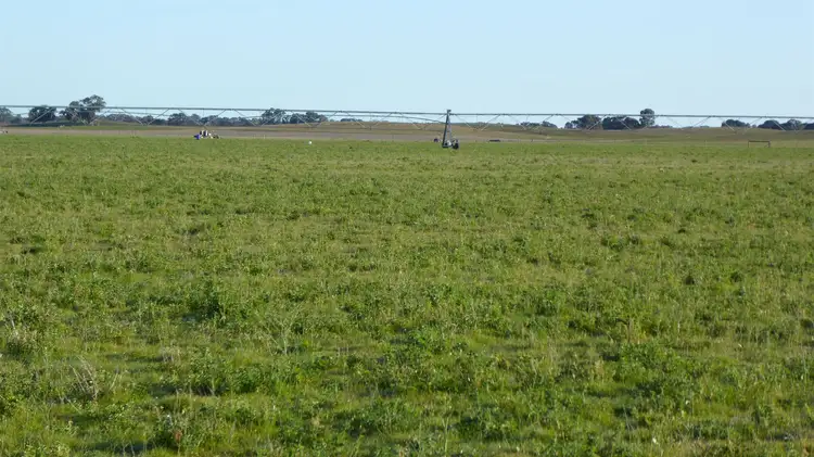 Third view of Homely rural property listing, 10864 Dukes Highway, Keith SA 5267