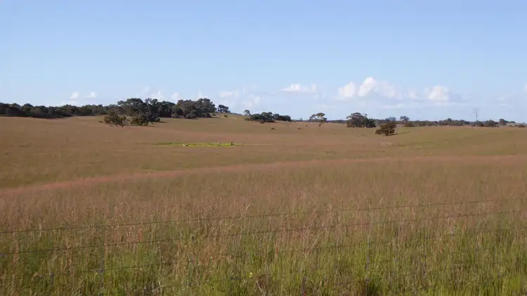 Fifth view of Homely rural property listing, 10864 Dukes Highway, Keith SA 5267
