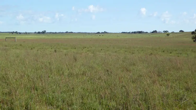 Sixth view of Homely rural property listing, 10864 Dukes Highway, Keith SA 5267