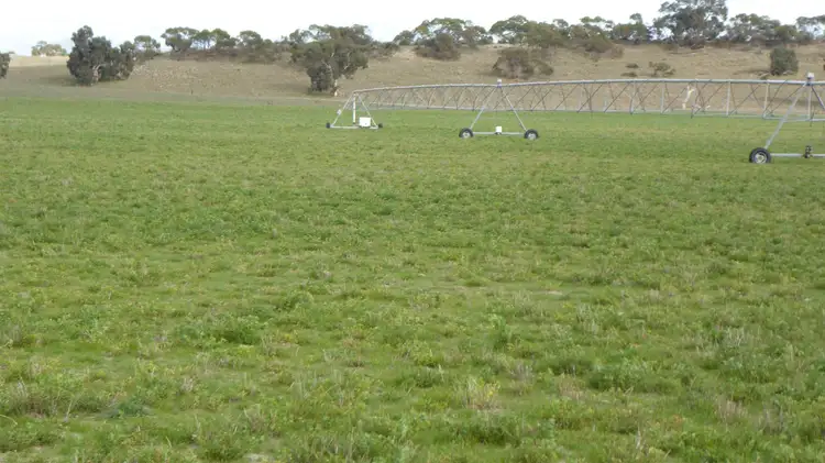 Seventh view of Homely rural property listing, 10864 Dukes Highway, Keith SA 5267