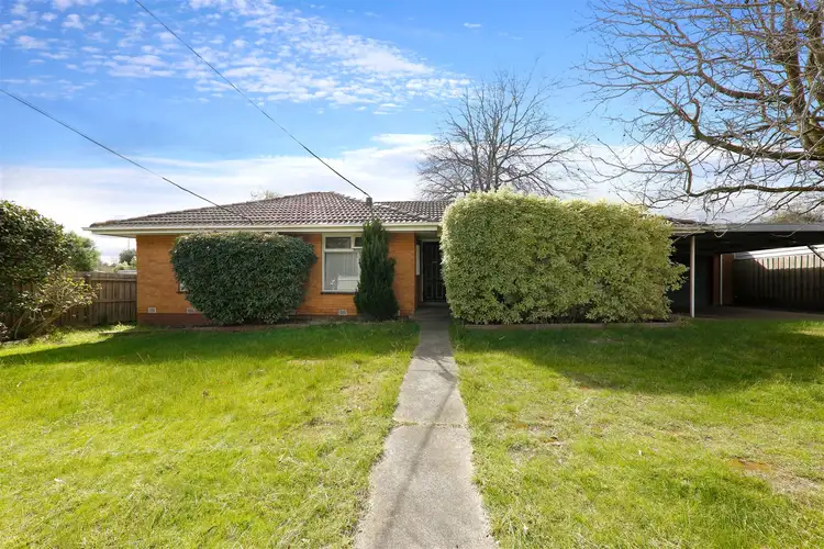19 Solomon Street