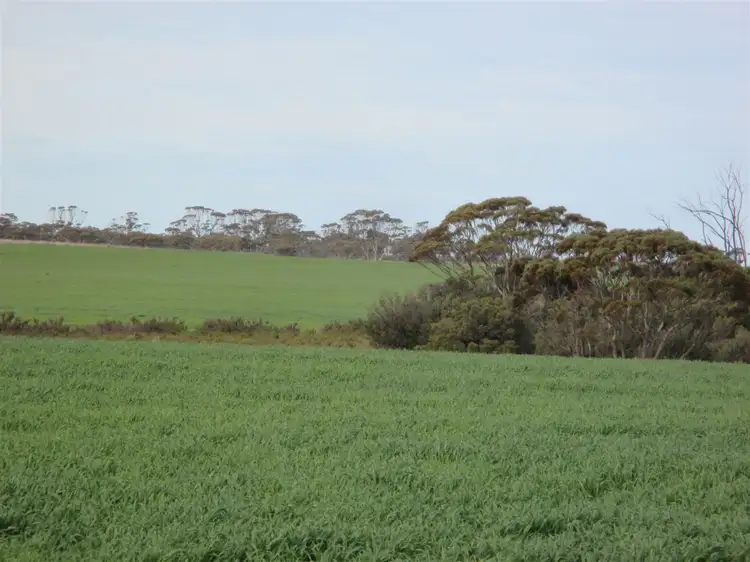 Second view of Homely rural property listing, ' Lakeside', Lake Camm WA 6355