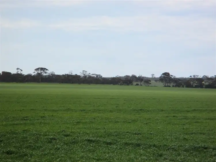 Fourth view of Homely rural property listing, ' Lakeside', Lake Camm WA 6355