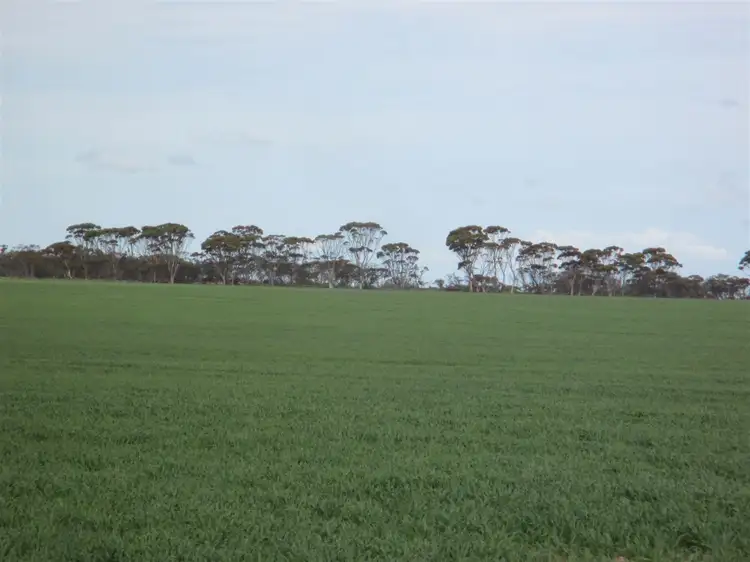 Seventh view of Homely rural property listing, ' Lakeside', Lake Camm WA 6355