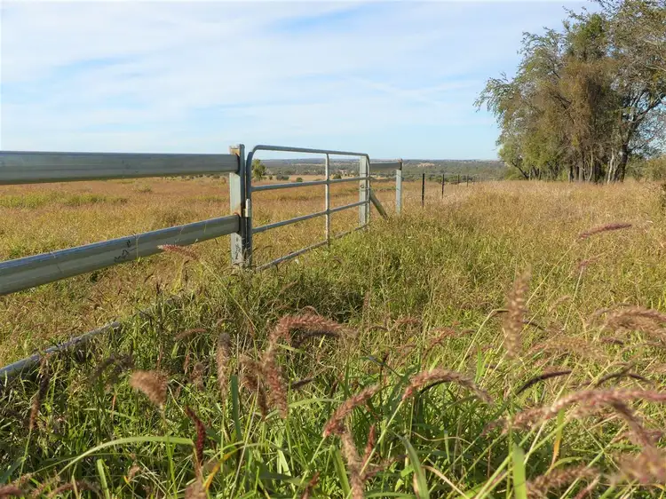 Second view of Homely rural property listing, Kooroora 484 Yeovil Road, Wandoan QLD 4419