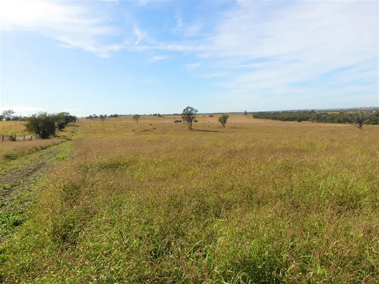 Fourth view of Homely rural property listing, Kooroora 484 Yeovil Road, Wandoan QLD 4419