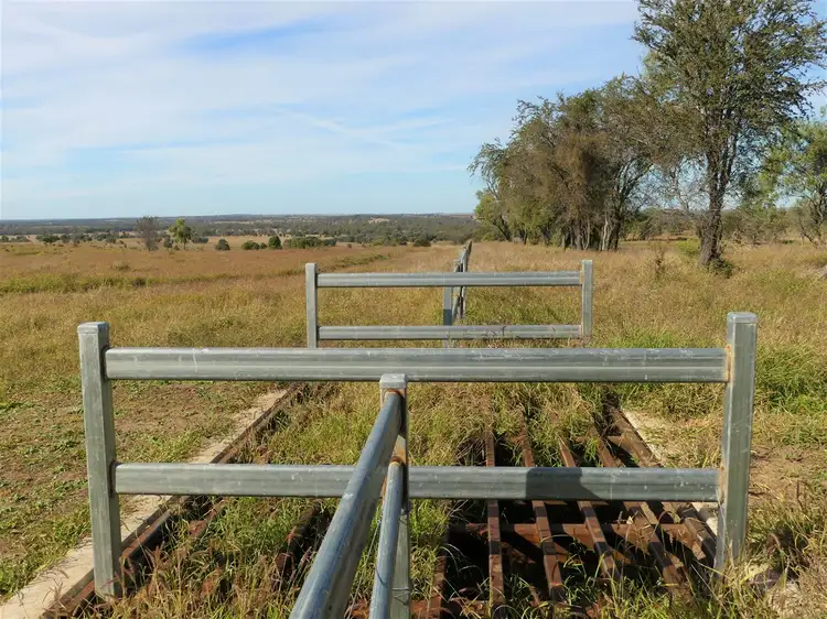 Sixth view of Homely rural property listing, Kooroora 484 Yeovil Road, Wandoan QLD 4419