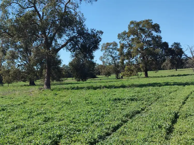 Seventh view of Homely rural property listing, 902 Teatree Road, Bindoon WA 6502
