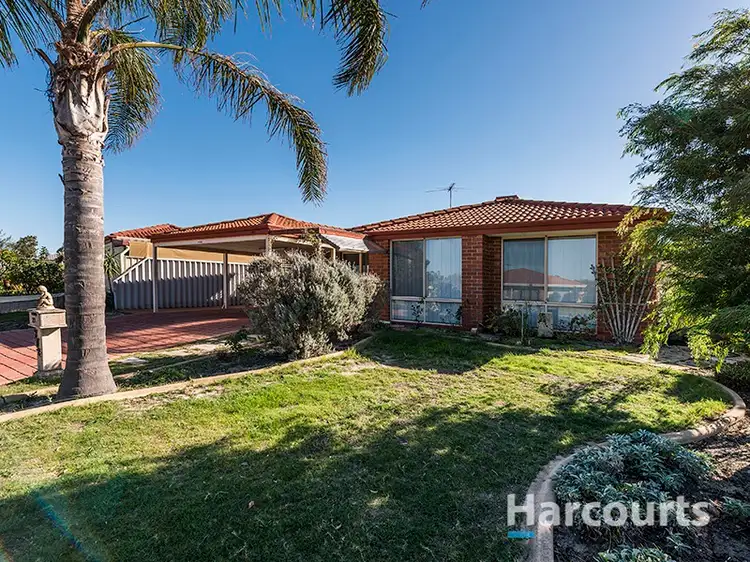 Main view of Homely house listing, 27 Thicket Circuit, Banksia Grove WA 6031