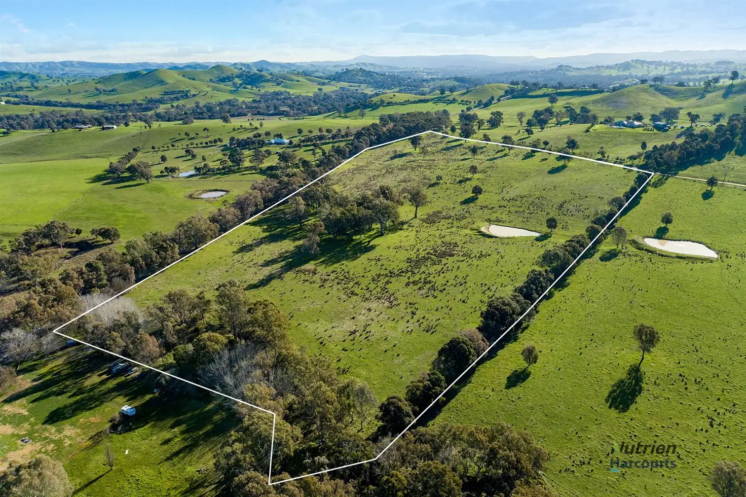 Main view of Homely rural property listing, 197 Limestone Road, Yea VIC 3717