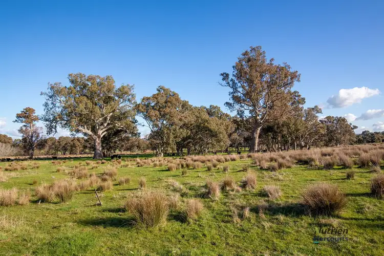 Fifth view of Homely rural property listing, 197 Limestone Road, Yea VIC 3717